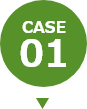 CASE01