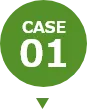 CASE01