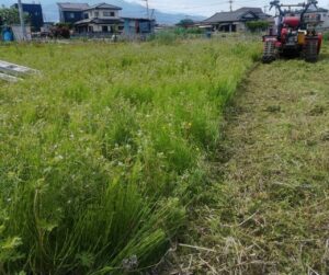 草刈のプロが田圃を一新！ブッシュカッタージョージJr.で草を駆除し、心地良い田植えの準備をサポート