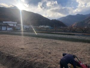 今年最後のくさかり代行🍀😊🙏🏻