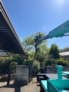 空き家となった🏠ご実家の樹木伐採作業です