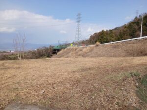 暑さの中で樹木伐採と草刈