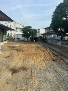 モミの木伐採